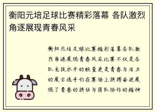 衡阳元培足球比赛精彩落幕 各队激烈角逐展现青春风采